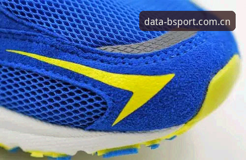 5个理由告诉你为何BSport运动数据平台是体育爱好者的必备工具