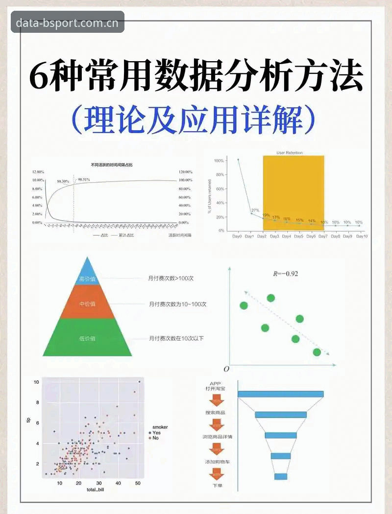 掌握BSport运动数据平台的实用技巧，新手必备的体育数据分析指南